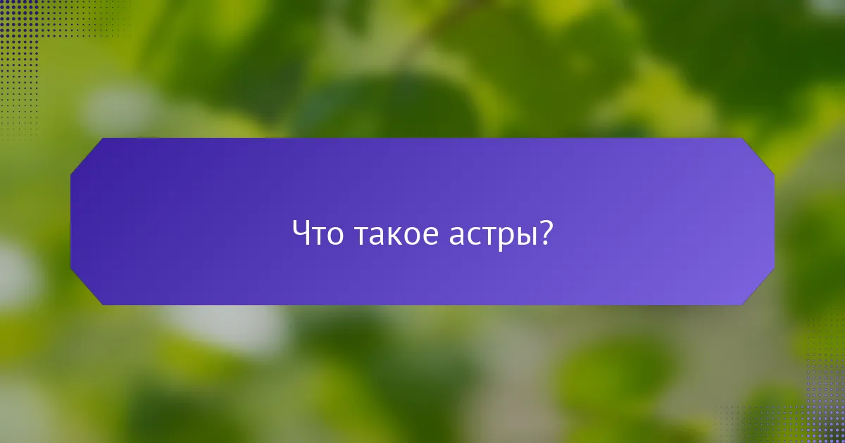 Что такое астры?