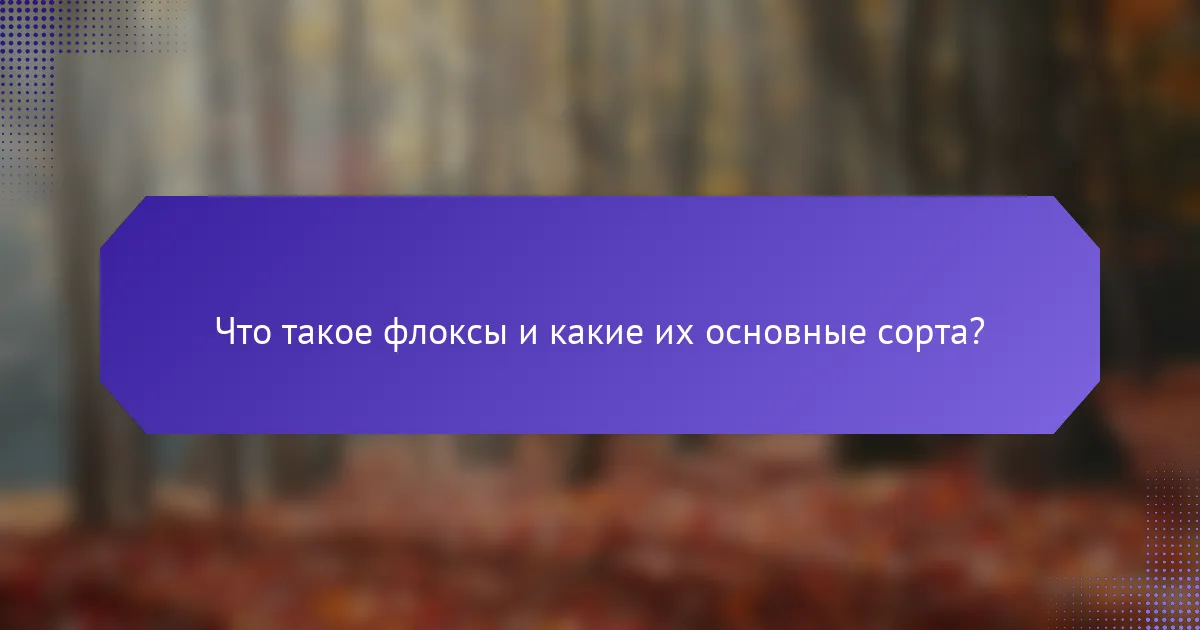 Что такое флоксы и какие их основные сорта?