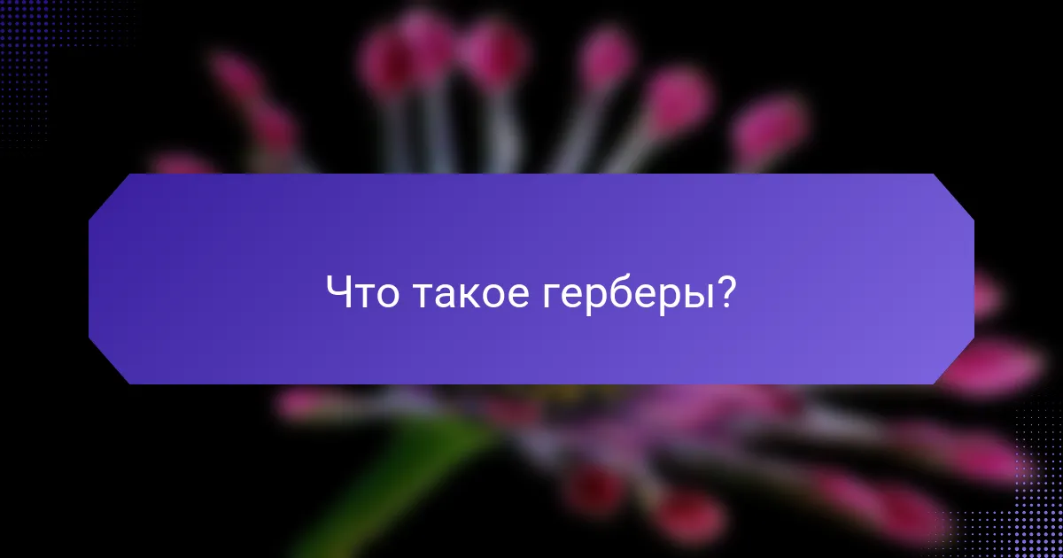 Что такое герберы?