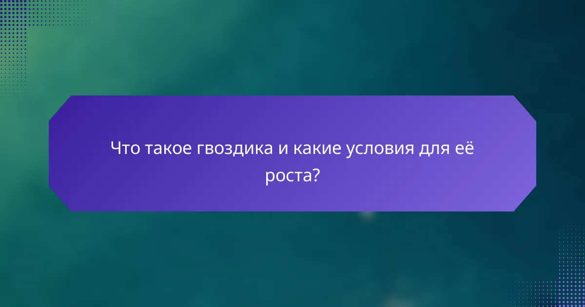 Что такое гвоздика и какие условия для её роста?