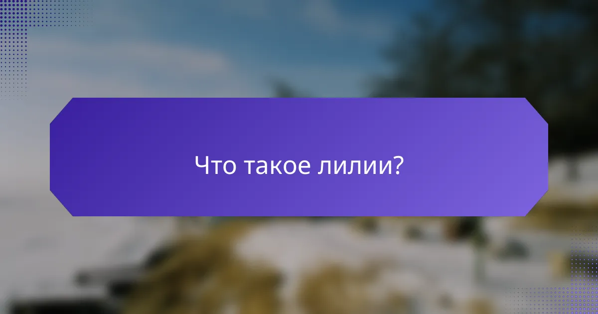 Что такое лилии?