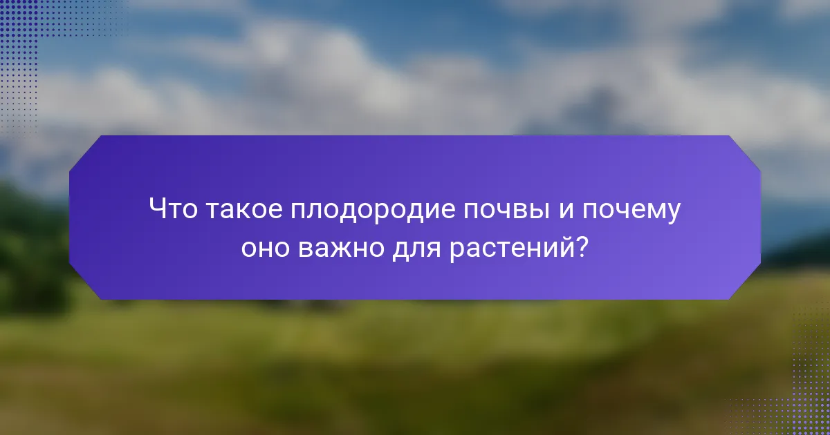 Что такое плодородие почвы и почему оно важно для растений?