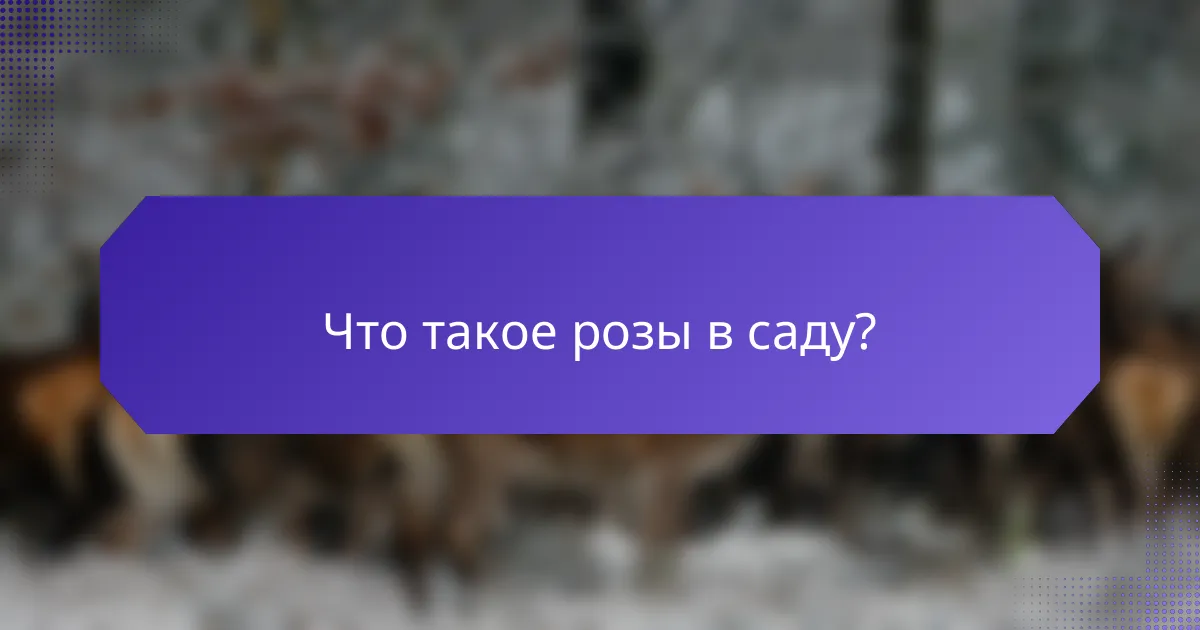 Что такое розы в саду?