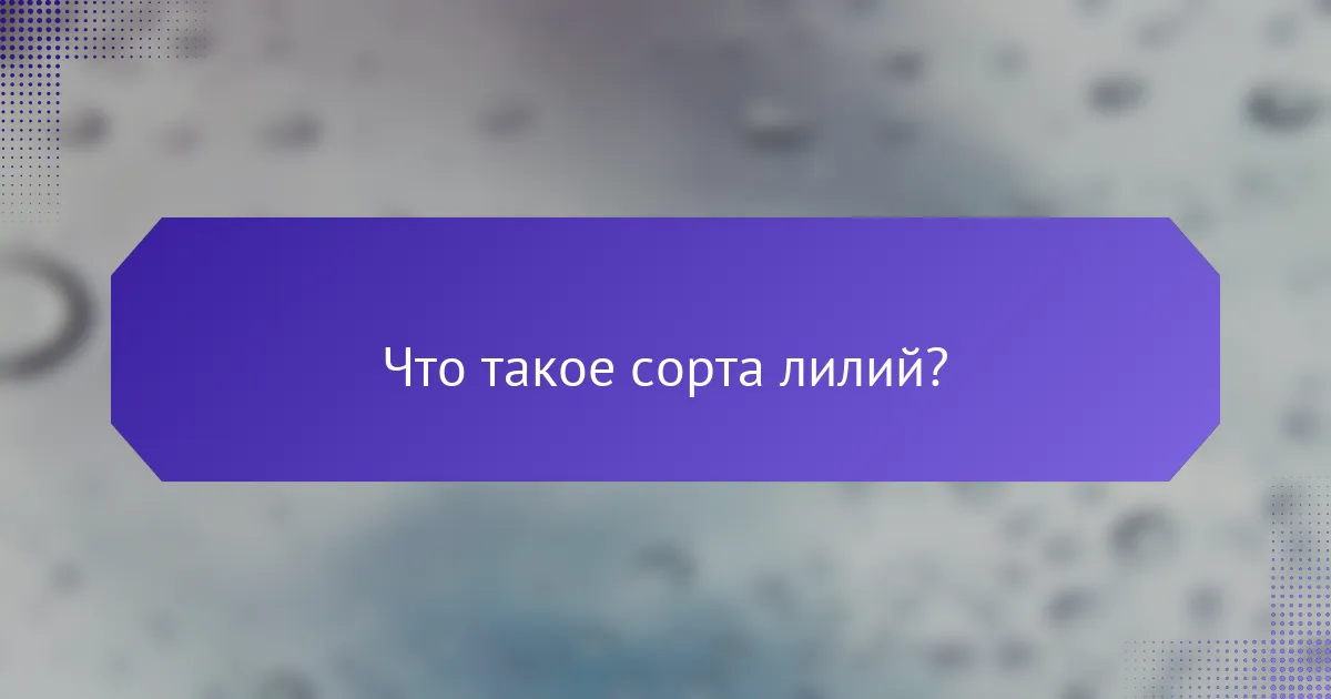 Что такое сорта лилий?