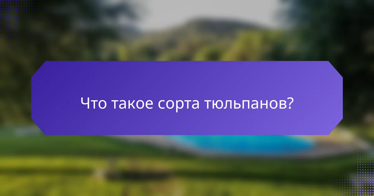 Что такое сорта тюльпанов?