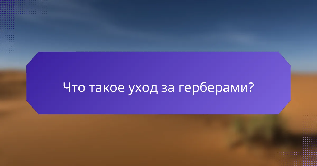 Что такое уход за герберами?