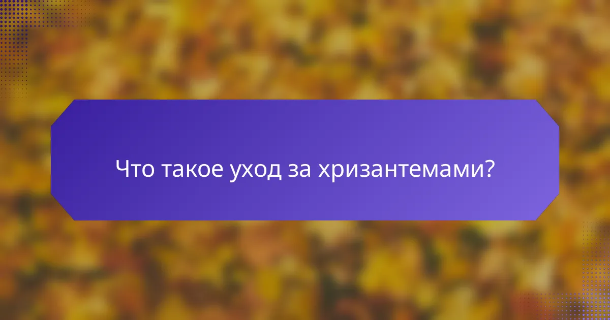 Что такое уход за хризантемами?