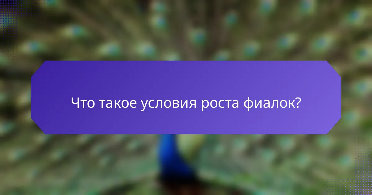 Что такое условия роста фиалок?