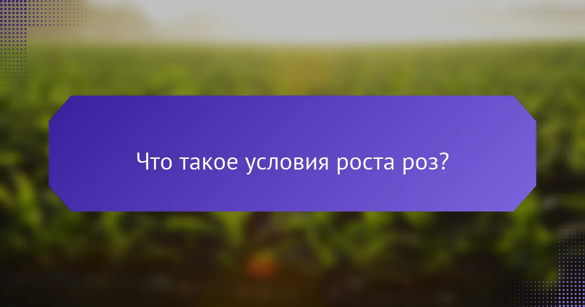 Что такое условия роста роз?