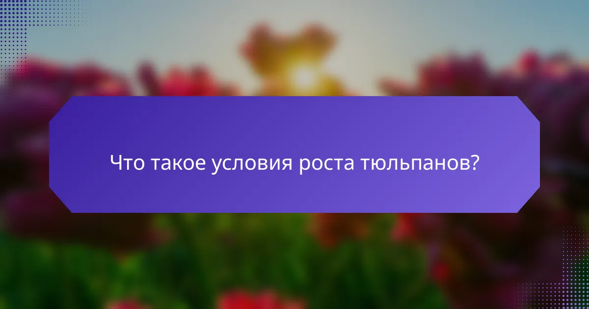 Что такое условия роста тюльпанов?