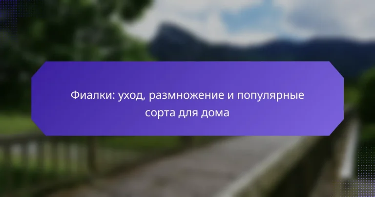 Фиалки: уход, размножение и популярные сорта для дома