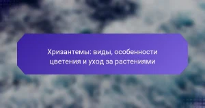 Хризантемы: виды, особенности цветения и уход за растениями