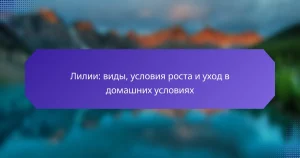 Лилии: виды, условия роста и уход в домашних условиях