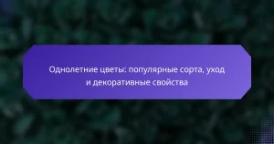 Однолетние цветы: популярные сорта, уход и декоративные свойства
