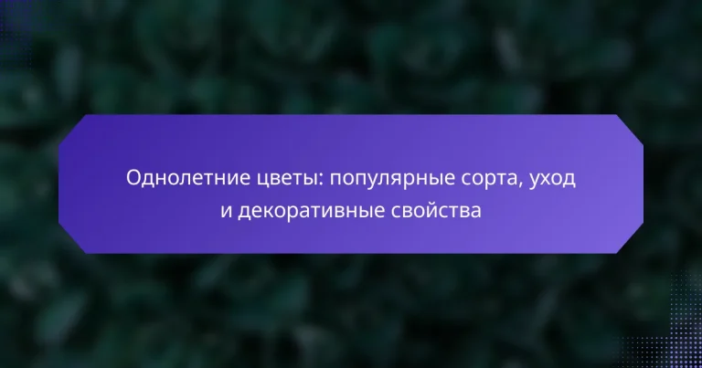 Однолетние цветы: популярные сорта, уход и декоративные свойства