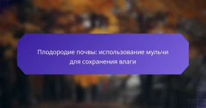Плодородие почвы: использование мульчи для сохранения влаги