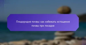 Плодородие почвы: как избежать истощения почвы при посадке