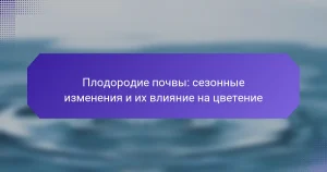 Плодородие почвы: сезонные изменения и их влияние на цветение