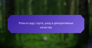Розы в саду: сорта, уход и декоративные качества