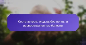 Сорта астров: уход, выбор почвы и распространенные болезни