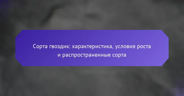 Сорта гвоздик: характеристика, условия роста и распространенные сорта