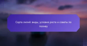 Сорта лилий: виды, условия роста и советы по поливу