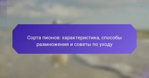 Сорта пионов: характеристика, способы размножения и советы по уходу