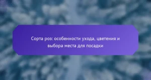 Сорта роз: особенности ухода, цветения и выбора места для посадки