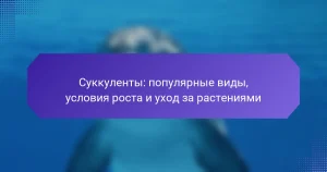 Суккуленты: популярные виды, условия роста и уход за растениями