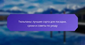 Тюльпаны: лучшие сорта для посадки, сроки и советы по уходу
