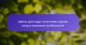 Цветы для сада: сочетание сортов, уход и сезонные особенности