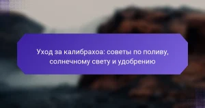 Уход за калибрахоа: советы по поливу, солнечному свету и удобрению