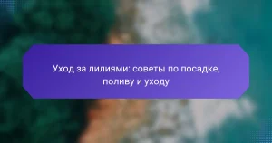 Уход за лилиями: советы по посадке, поливу и уходу