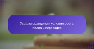 Уход за орхидеями: условия роста, полив и пересадка