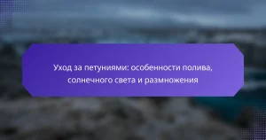 Уход за петуниями: особенности полива, солнечного света и размножения
