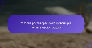 Условия роста гортензий: уровень pH, полив и место посадки