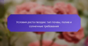 Условия роста гвоздик: тип почвы, полив и солнечные требования