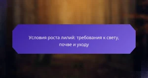 Условия роста лилий: требования к свету, почве и уходу