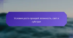 Условия роста орхидей: влажность, свет и субстрат