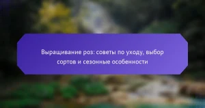 Выращивание роз: советы по уходу, выбор сортов и сезонные особенности