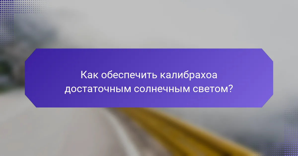 Как обеспечить калибрахоа достаточным солнечным светом?