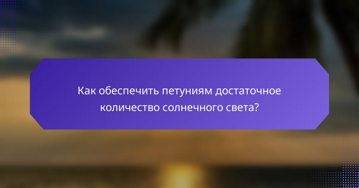 Как обеспечить петуниям достаточное количество солнечного света?