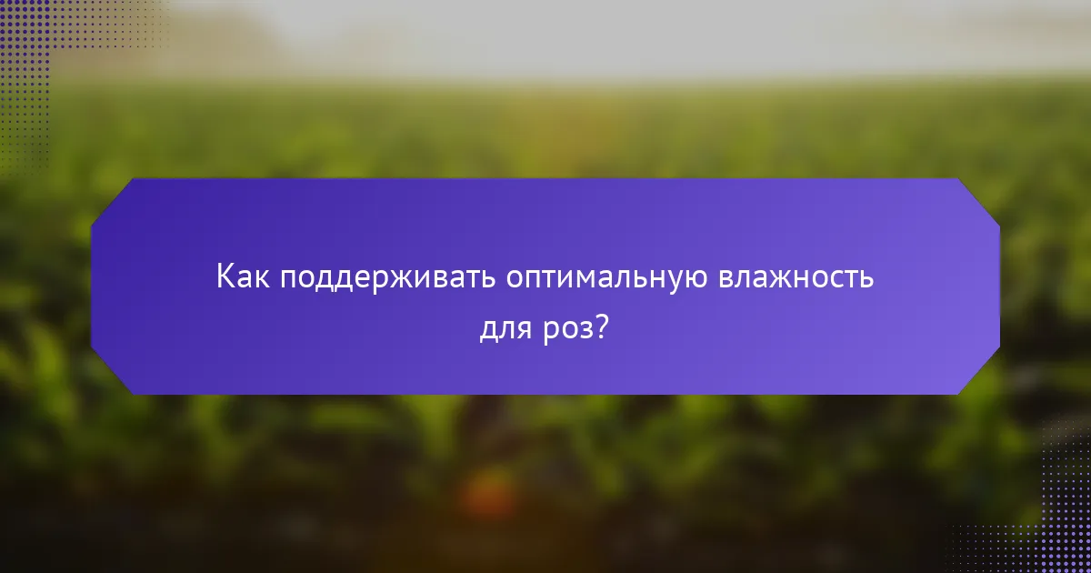 Как поддерживать оптимальную влажность для роз?