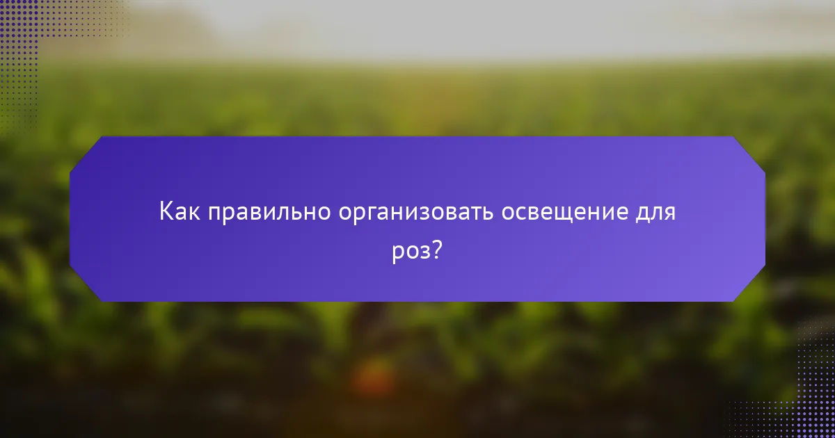 Как правильно организовать освещение для роз?
