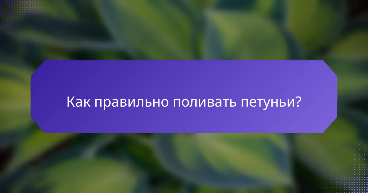 Как правильно поливать петуньи?