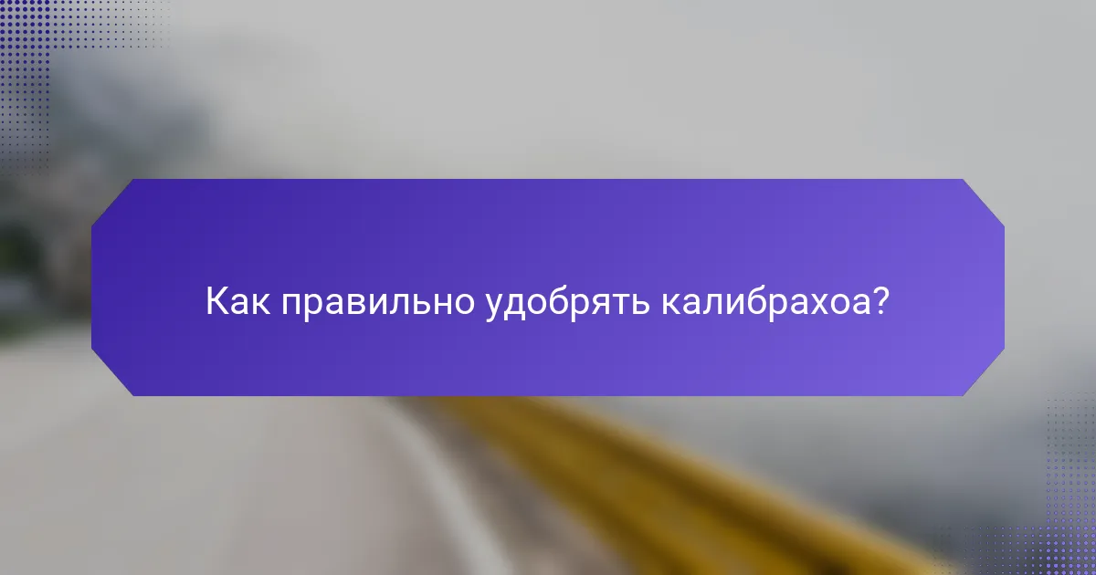 Как правильно удобрять калибрахоа?
