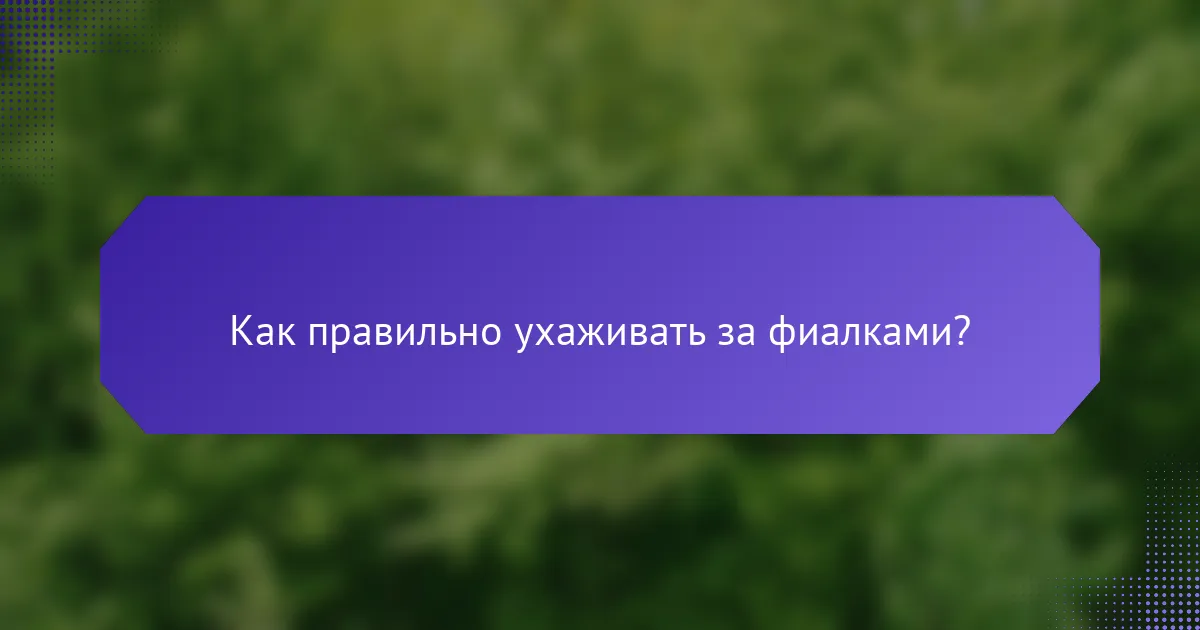 Как правильно ухаживать за фиалками?