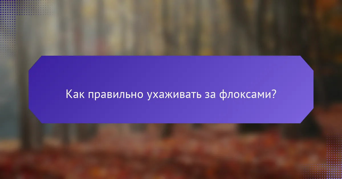 Как правильно ухаживать за флокcами?