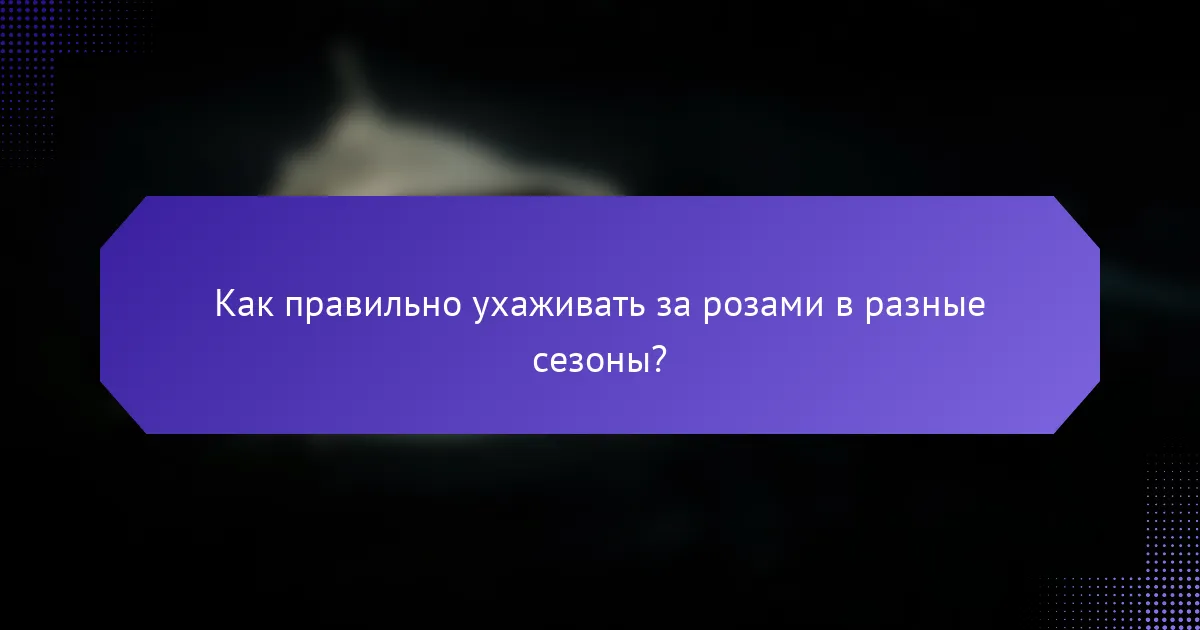Как правильно ухаживать за розами в разные сезоны?