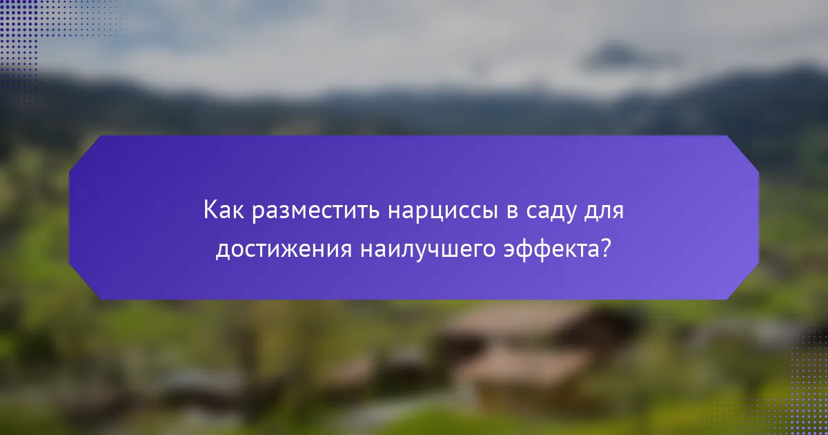 Как разместить нарциссы в саду для достижения наилучшего эффекта?